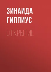 Зинаида Гиппиус - Открытие