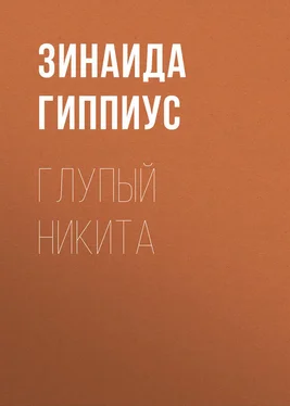 Зинаида Гиппиус Глупый Никита обложка книги