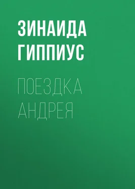 Зинаида Гиппиус Поездка Андрея обложка книги