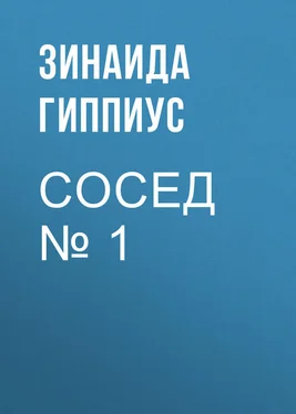 Зинаида Гиппиус Сосед № 1 обложка книги