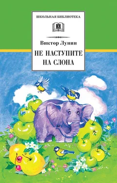 Виктор Лунин Не наступите на слона (сборник) обложка книги