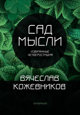 Вячеслав Кожевников Сад мысли. Избранные четверостишия обложка книги