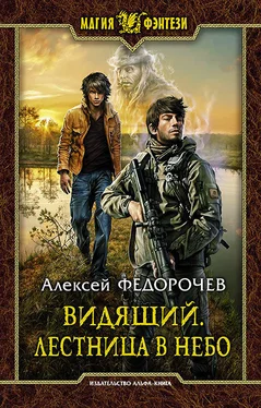 Алексей Федорочев Видящий. Лестница в небо обложка книги