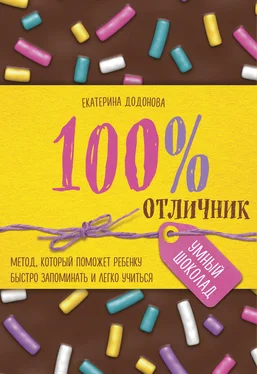 Екатерина Додонова 100% отличник. Метод, который поможет ребенку быстро запоминать и легко учиться обложка книги