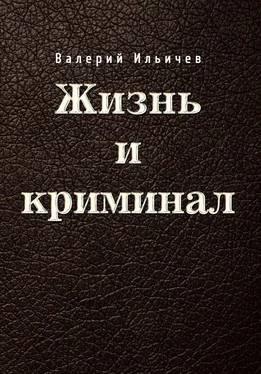 Валерий Ильичев Жизнь и криминал обложка книги