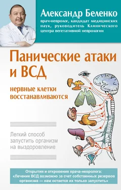 Александр Беленко Панические атаки и ВСД – нервные клетки восстанавливаются. Легкий способ запустить организм на выздоровление обложка книги