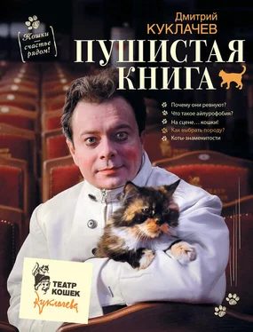 Дмитрий Куклачев Пушистая книга. Кошки – счастье рядом! обложка книги