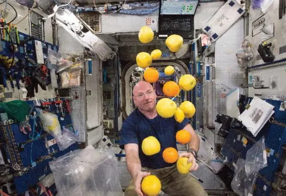 My phony juggling act the fruit had been sent to the ISS on the Japanese HTV - фото 67