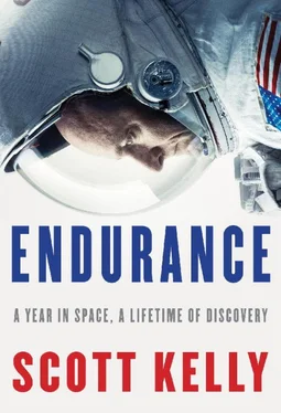 Margaret Dean Endurance: A Year in Space, A Lifetime of Discovery обложка книги