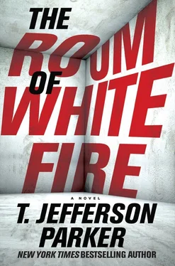 Т Паркер The Room of White Fire обложка книги