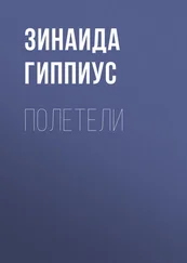 Зинаида Гиппиус - Полетели