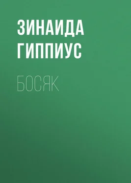 Зинаида Гиппиус Босяк обложка книги