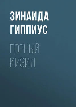 Зинаида Гиппиус Горный кизил обложка книги