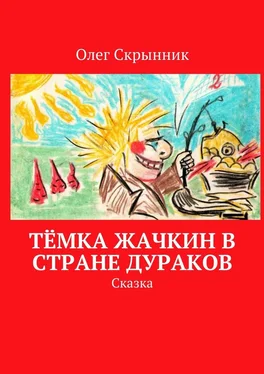 Олег Скрынник Тёмка Жачкин в Стране Дураков. Сказка обложка книги