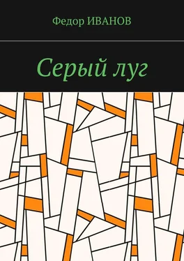 Федор Иванов Серый луг обложка книги