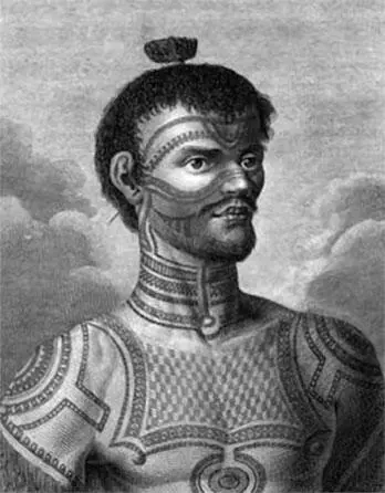 Портрет жителя острова Нукагивы Из Атласа к путешествию вокруг света капитана - фото 13