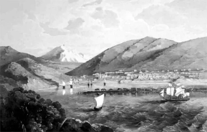 Петропавловский порт Середина XIX века Но если бы я мог знать предварительно - фото 26