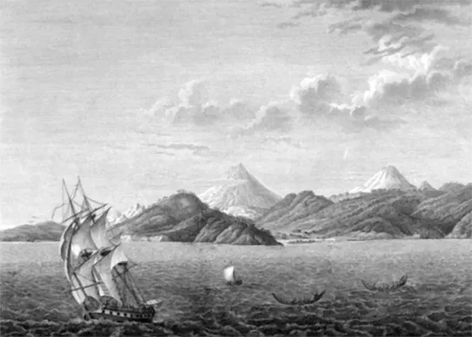 Вид на ПетроПавловскую гавань Из Атласа к путешествию вокруг света капитана - фото 68