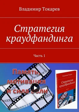 Владимир Токарев Стратегия краудфандинга. Часть 1 обложка книги