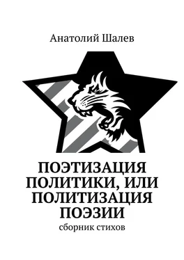 Анатолий Шалев Поэтизация политики, или Политизация поэзии обложка книги