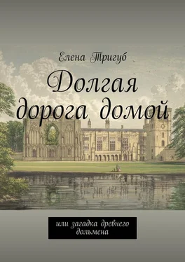 Елена Тригуб Долгая дорога домой. Или загадка древнего дольмена обложка книги