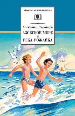 Александр Торопцев Азовское море и река Рожайка (сборник) обложка книги