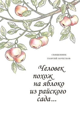 Георгий Кочетков Человек похож на яблоко из райского сада… обложка книги