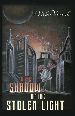 Nika Veresk In the shadow of the stolen light обложка книги