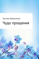 Эльмира Шакеримова - Чудо прощения
