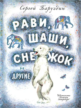 Сергей Баруздин Рави, Шаши, Снежок и другие (сборник) обложка книги