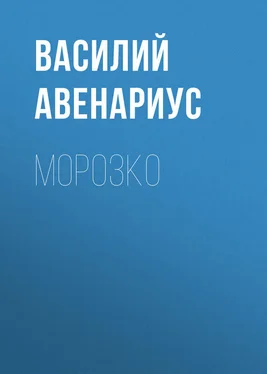 Василий Авенариус Морозко обложка книги