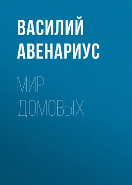 Василий Авенариус Мир домовых обложка книги