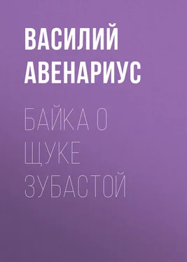 Василий Авенариус Байка о щуке зубастой обложка книги