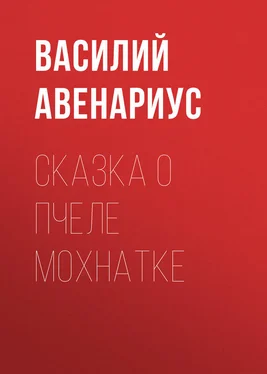 Василий Авенариус Сказка о пчеле Мохнатке обложка книги