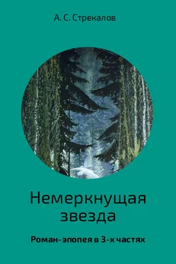 Александр Стрекалов Немеркнущая звезда. Роман-эпопея в 3-х частях. Часть 2