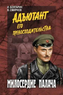 Игорь Болгарин Милосердие палача обложка книги