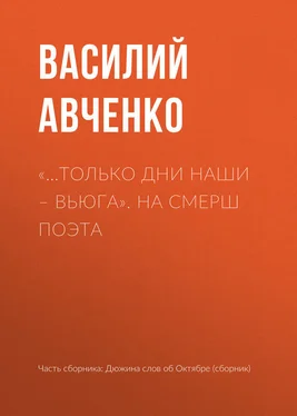 Василий Авченко «…Только дни наши – вьюга». На СМЕРШ поэта обложка книги