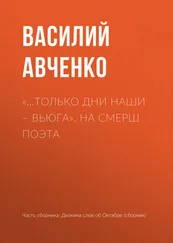 Василий Авченко - «…Только дни наши – вьюга». На СМЕРШ поэта