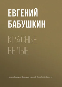 Евгений Бабушкин Красные белые обложка книги