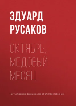 Эдуард Русаков Октябрь, медовый месяц обложка книги