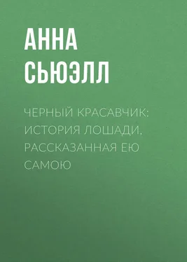 Анна Сьюэлл Черный Красавчик: история лошади, рассказанная ею самою обложка книги