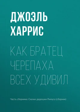 Джоэль Харрис Как Братец Черепаха всех удивил обложка книги