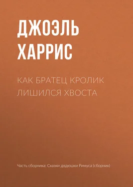 Джоэль Харрис Как Братец Кролик лишился хвоста обложка книги