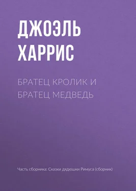 Джоэль Харрис Братец Кролик и Братец Медведь обложка книги