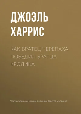 Джоэль Харрис Как Братец Черепаха победил Братца Кролика обложка книги