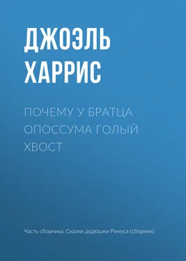 Джоэль Харрис Почему у Братца Опоссума голый хвост обложка книги