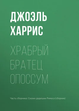 Джоэль Харрис Храбрый Братец Опоссум обложка книги