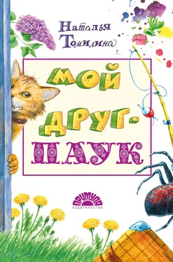 Наталья Томилина Мой друг – паук обложка книги