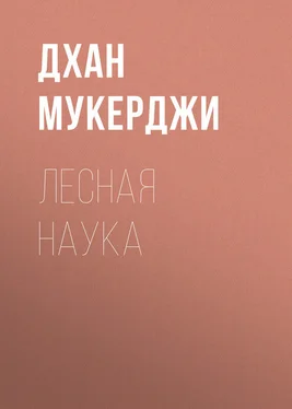 Дхан Мукерджи Лесная наука обложка книги