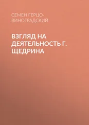 Семен Герцо-Виноградский - Взгляд на деятельность г. Щедрина